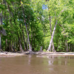 Piney Island Landing