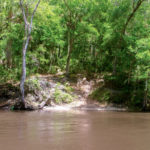 Rest Stop at Sunday Bluff