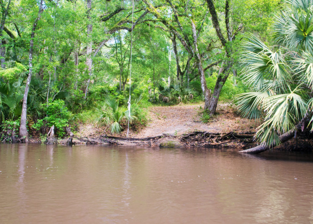 Rope Swing at Sunday Bluff