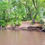 Rope Swing at Sunday Bluff