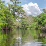 Santa Fe River at Ichetucknee River