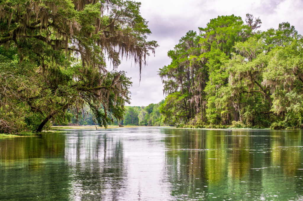 The Ichetucknee River