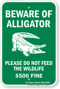 Beware of Alligator