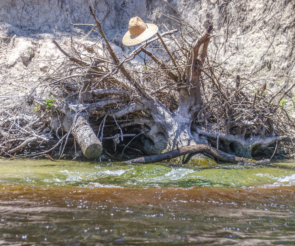 Boiling Spring - Suwannee River