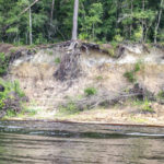 Eroded Bluff on the Suwannee River