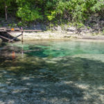 Mearson Spring from the Suwannee