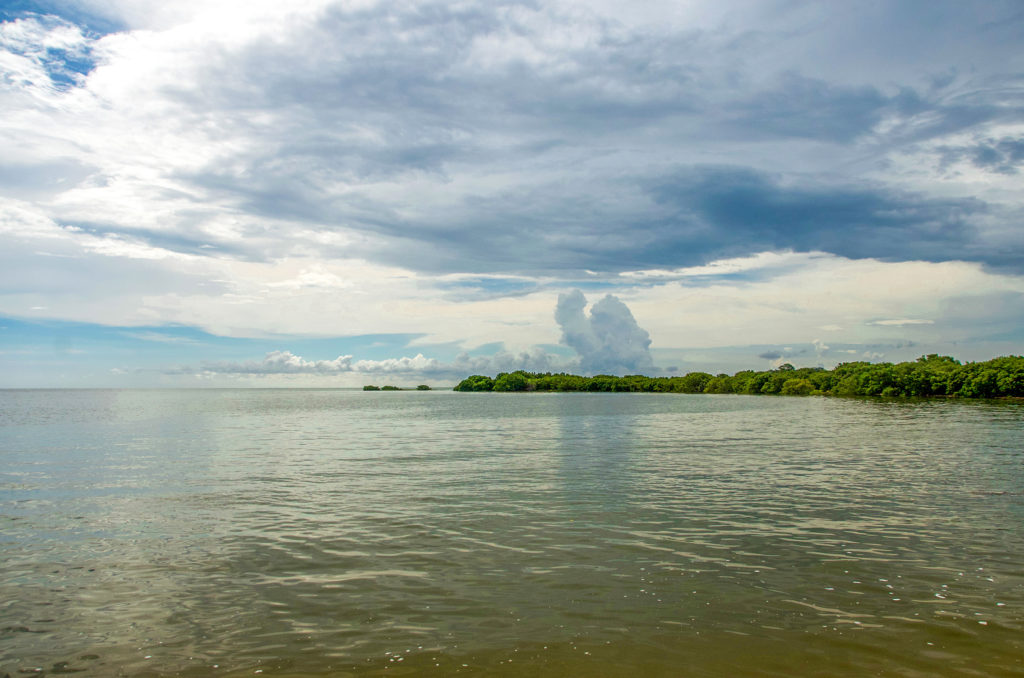 Morning Clouds - Atsena Otie