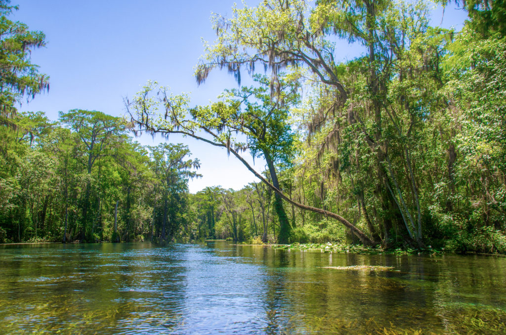 Paddling the Silver River