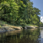 Rocky Shoreline along the Suwannee River