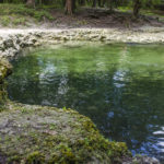 Ruth Springs - Suwannee River