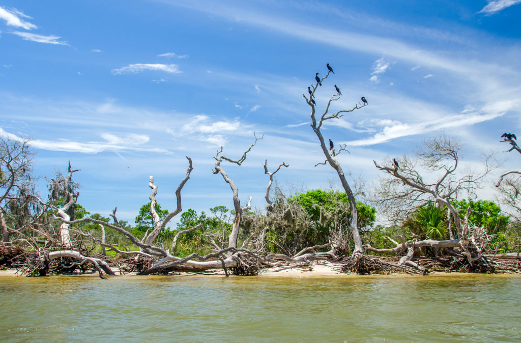 Southeast Shoreline Atsena Otie