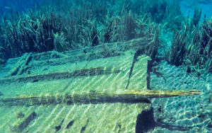 Steamboat Wreckage # 1