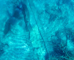 Dugout Canoe in the Silver River