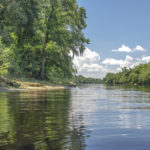 The Suwannee River