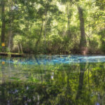 Approaching Alligator Spring