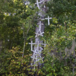 Memorial - Cross Tree