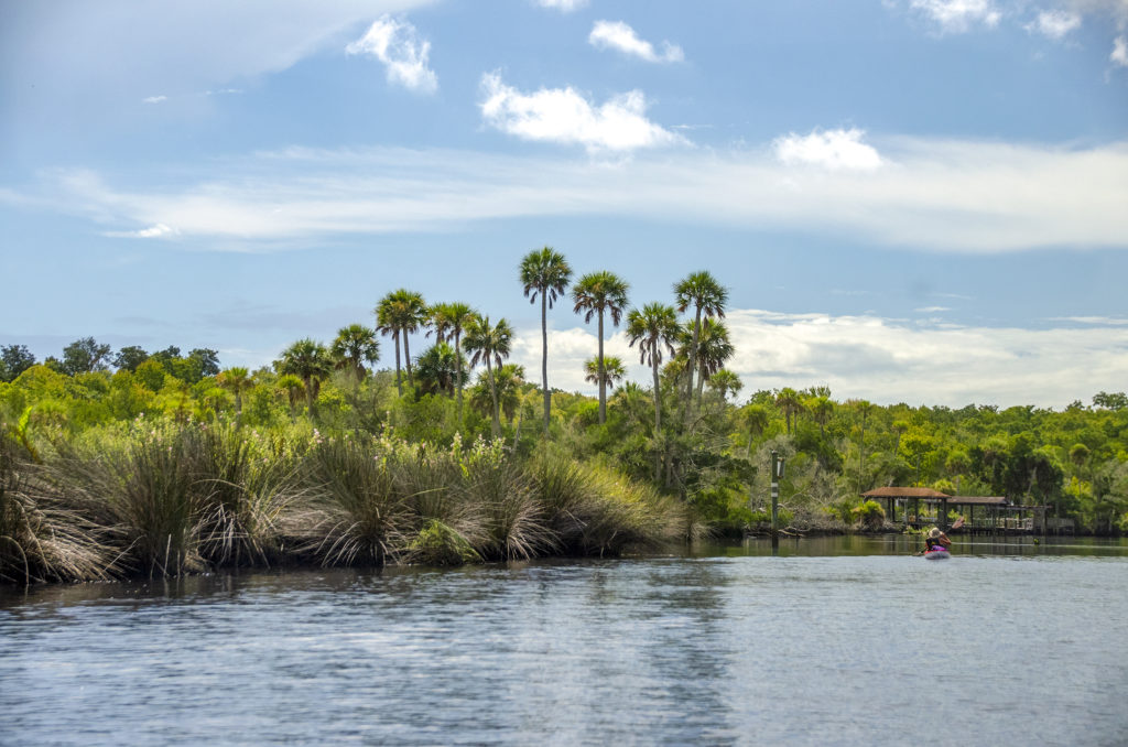 Paddling the Tomoka