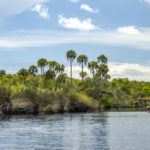 Paddling the Tomoka