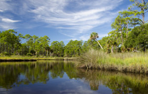 Styles Creek Landscape