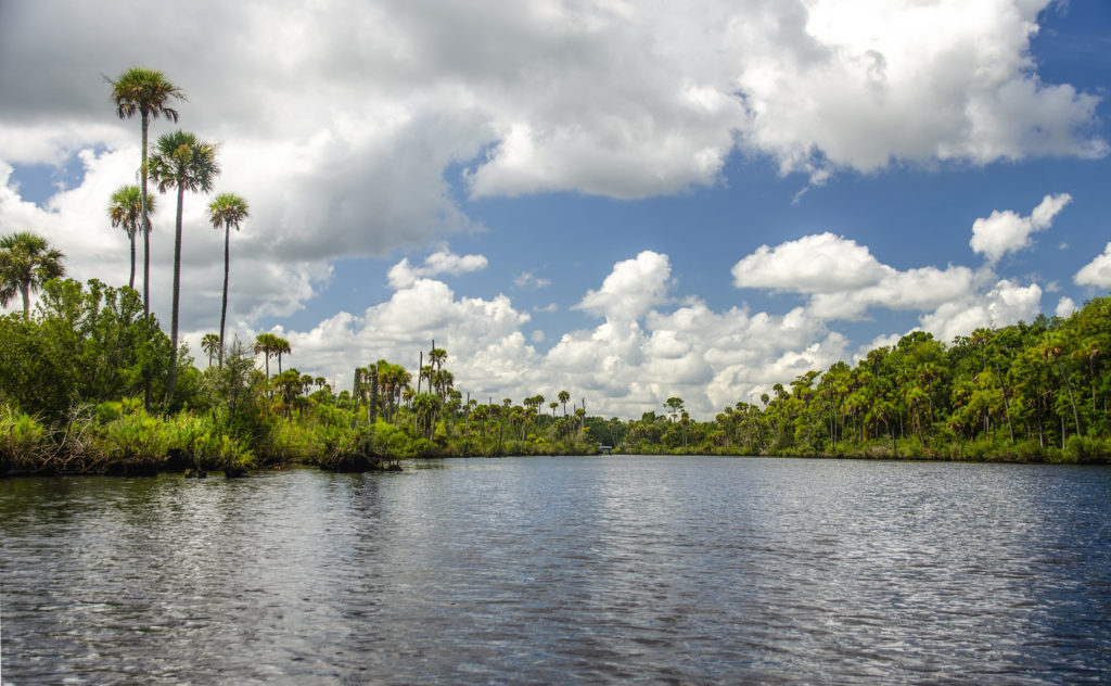 The Tomoka River