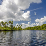 The Tomoka River Sky