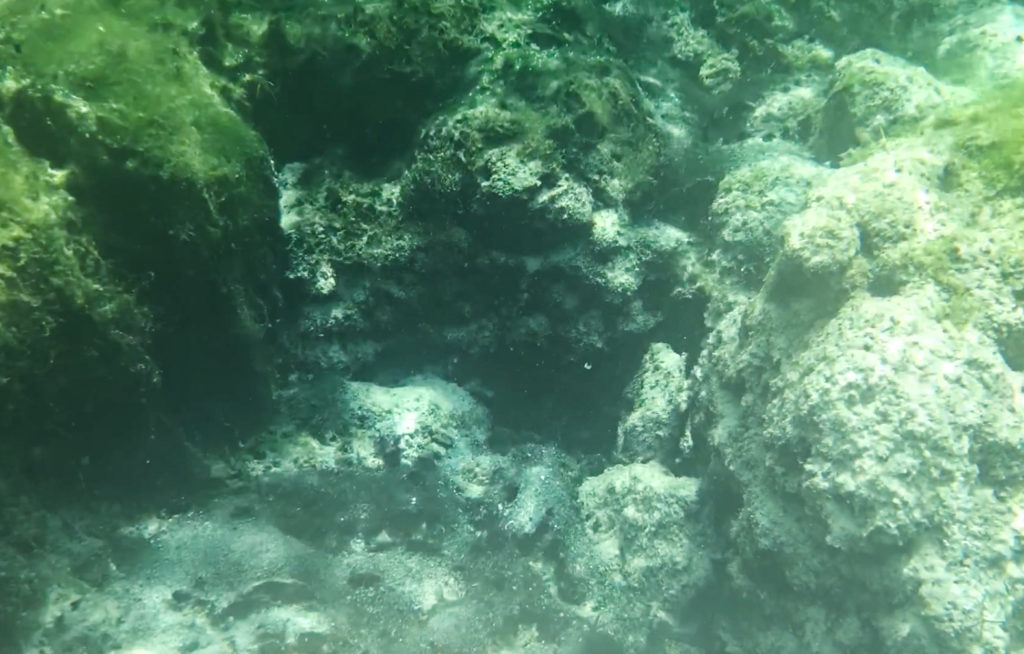 Banana Island Spring Complex West