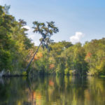 Bear Creek Ocklawaha River