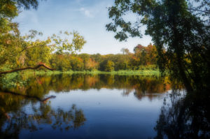 Bear Creek meets the Ocklawaha River