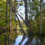 ByPass to the Ocklawaha