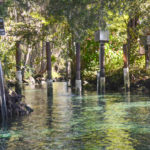 Entrance to Three Sisters Springs