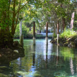 Exiting Three Sisters Springs