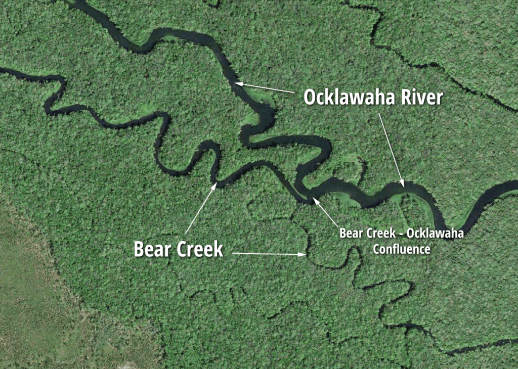 Bear Creek - Ocklawaha River - Confluence