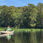 James on the Ocklawaha River - Bear Creek