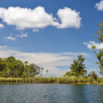 Kings Bay Island Landscape