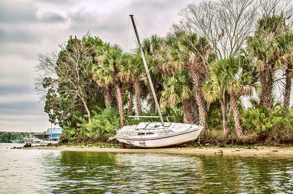 Low Tide on Crystal River
