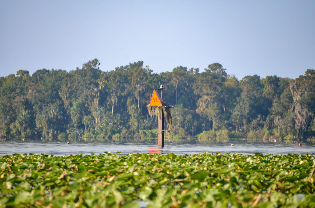 Marker 52 - Ocklawaha River