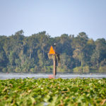 Marker 52 - Ocklawaha River