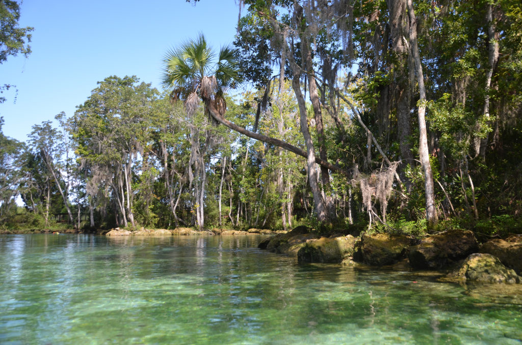 North Shoreline - Three Sisters Springs