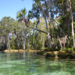 North Shoreline - Three Sisters Springs