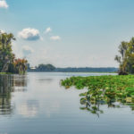 Ocklawaha Meets St John River