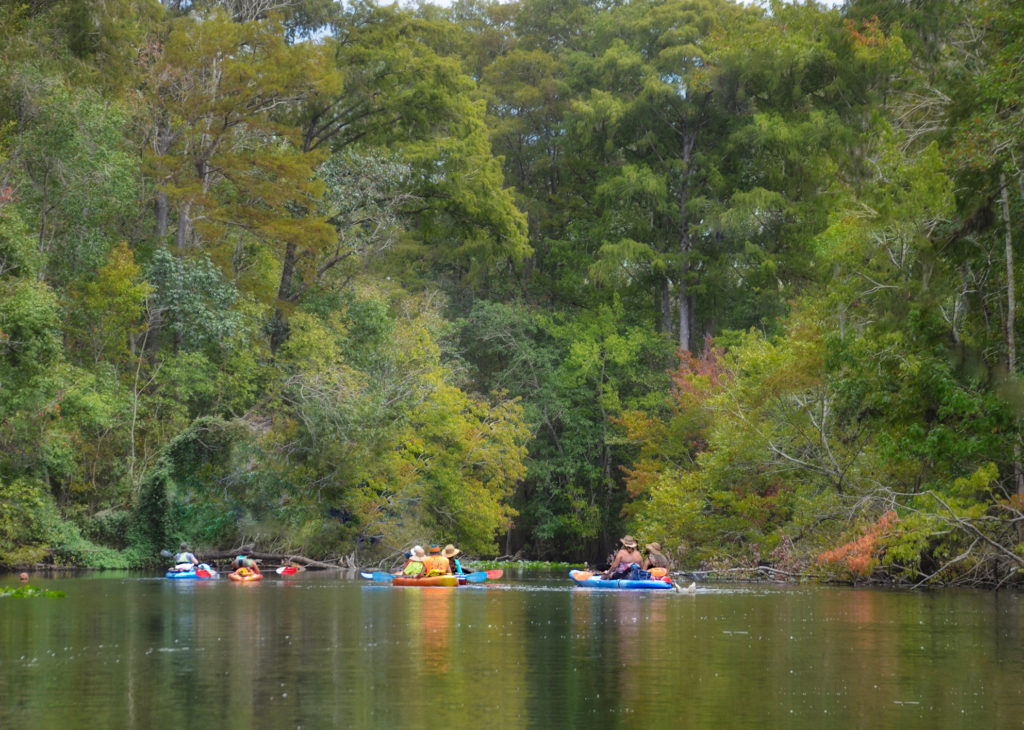 Ocklawaha River Awe