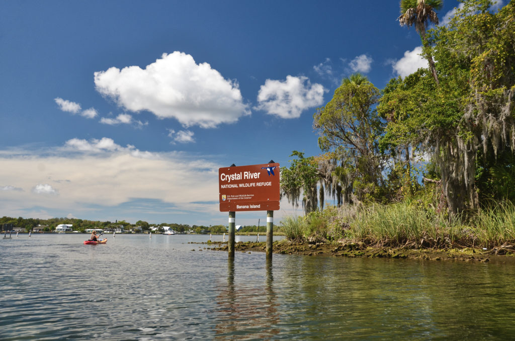 Paddling Banana Island - Kings Bay