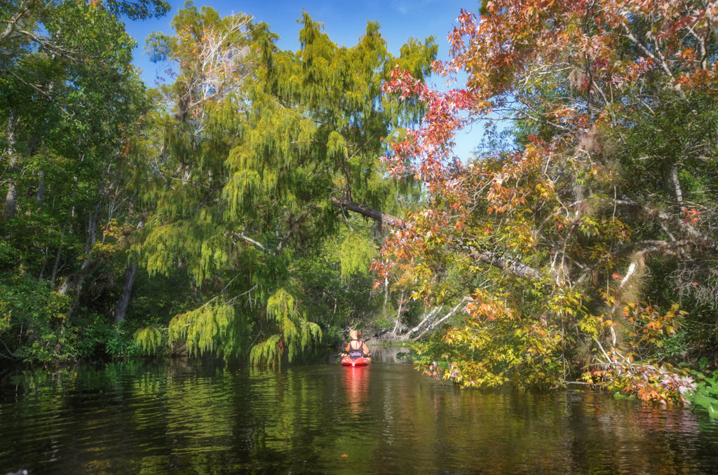 Paddling Bear Creek
