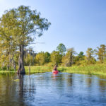 Paddling Sweetwater Creek