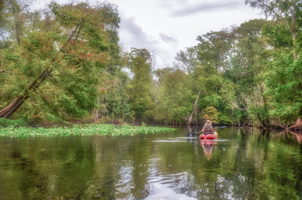 Paddling the Ocklawaha River