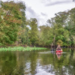 Paddling the Ocklawaha River