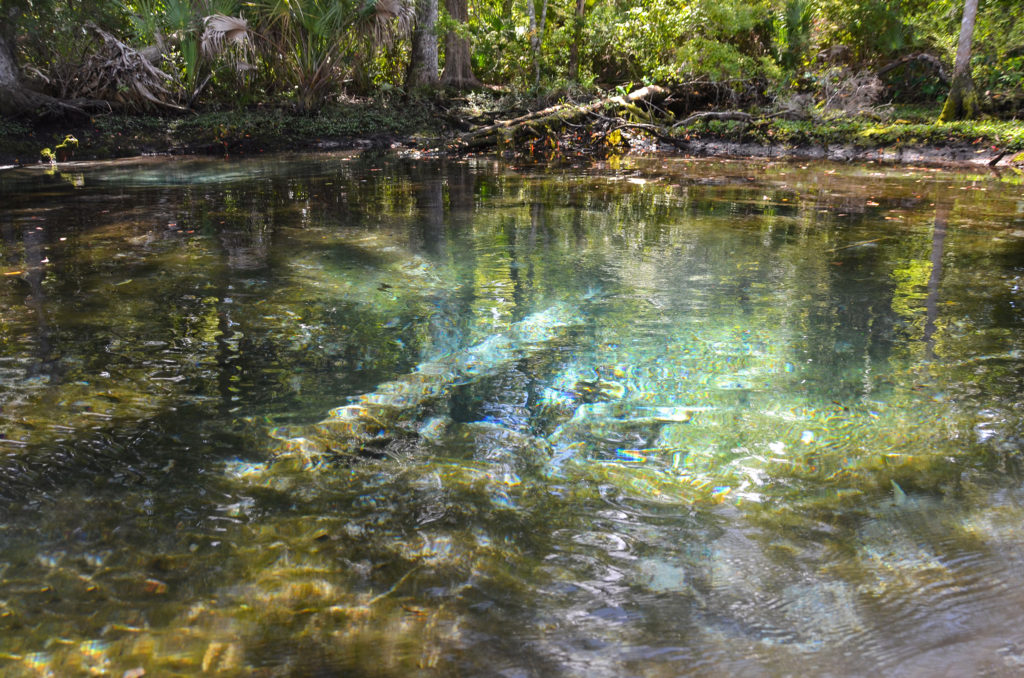 Parker Island Spring Complex