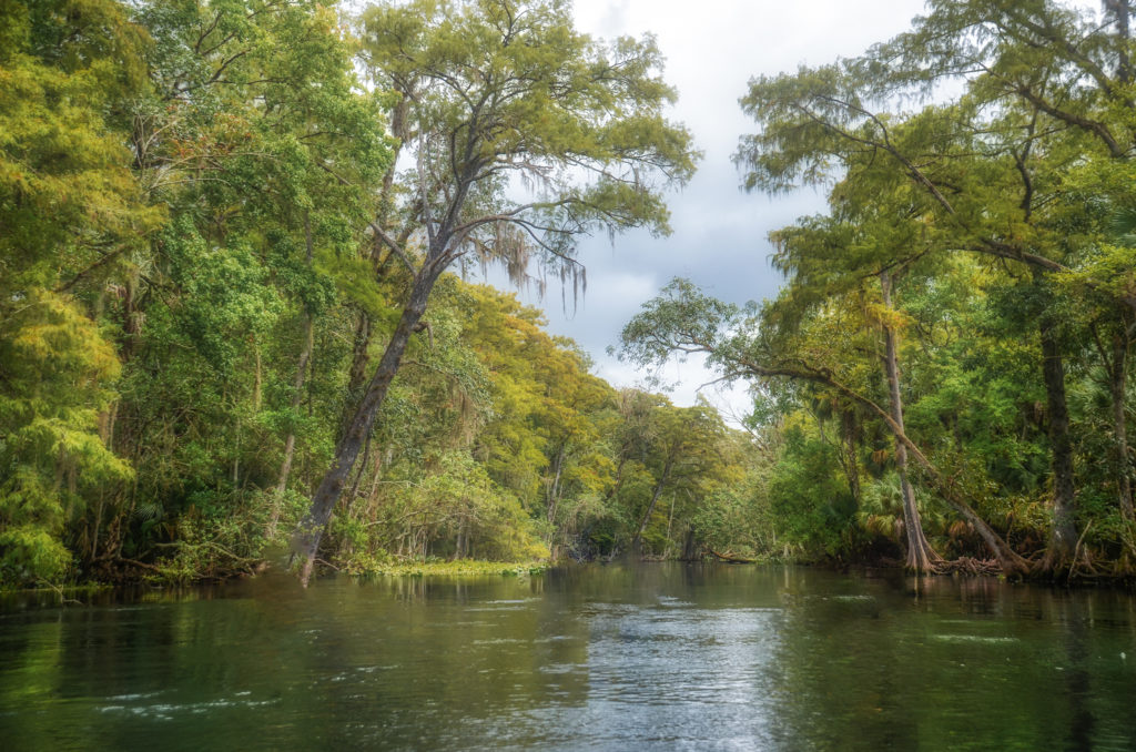 September on the Silver River