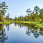Sweetwater Creek