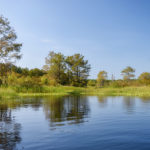 Sweetwater Creek Landscape